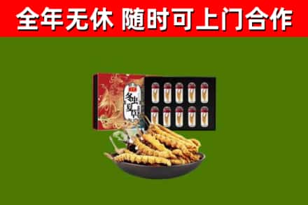 梧州回收冬虫夏草价格